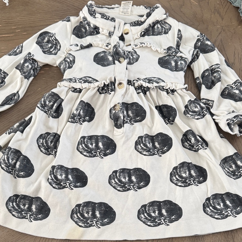 kate quinn Cream Dress with Black Pumpkin Print